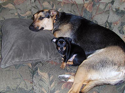 Brody and Mia