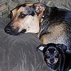 Brody and Mia