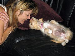 Hammy1