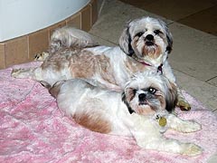 Titan and Kira