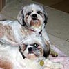 Titan and Kira